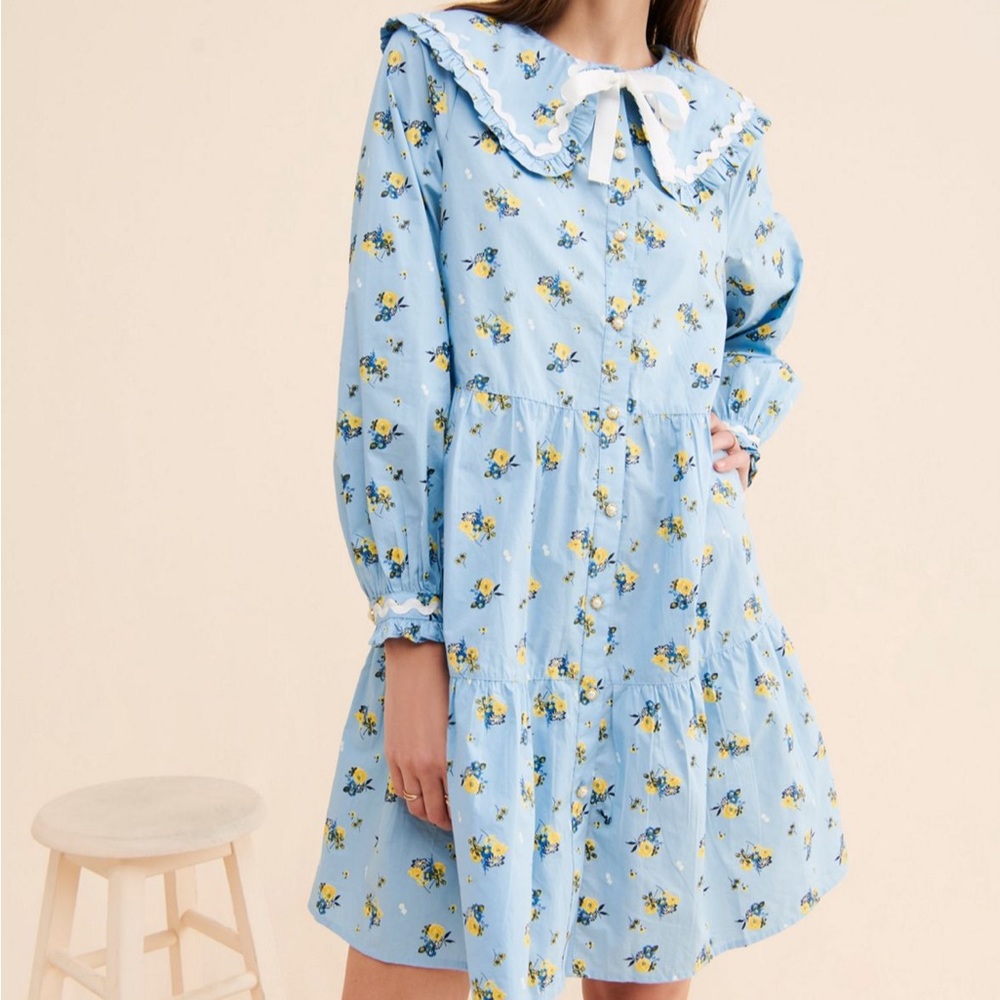 Crās Denise collared shirt mini dress NWOT